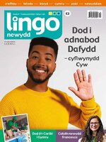 Lingo Newydd